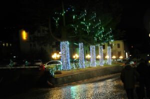 illuminazione natalizia su fusti di alberi