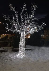 Immagine di un un parco innevato con Albero artificiale di 4m