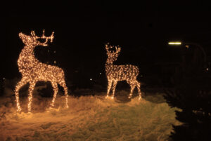 Immagine di un centro urbano allestito con due cervi luminosi
