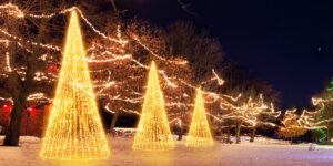 Immagine di una piazza innevata con tre Alberi String installati