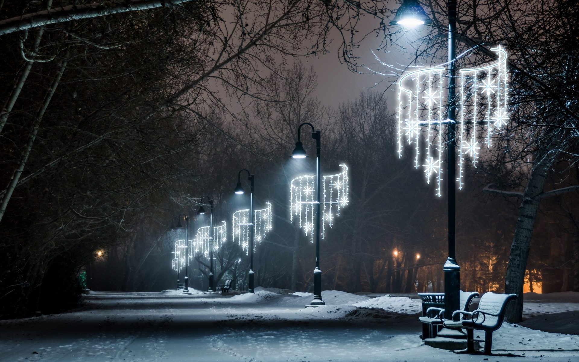 Immagine di un viale allestito con "Cascata di Stelle"